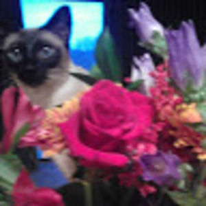 Meet your Posher, Barbara